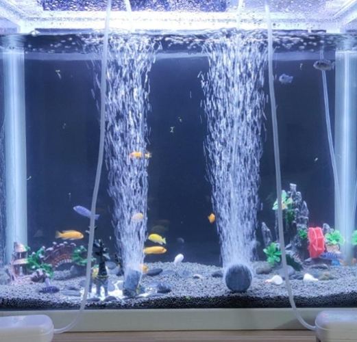 養魚打氣 養魚打氣