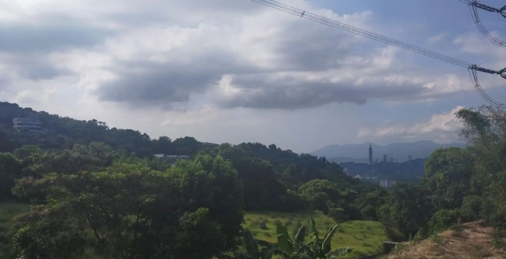 貓空茶園體驗 貓空茶園體驗