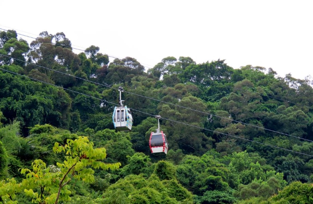 木柵動物園交通