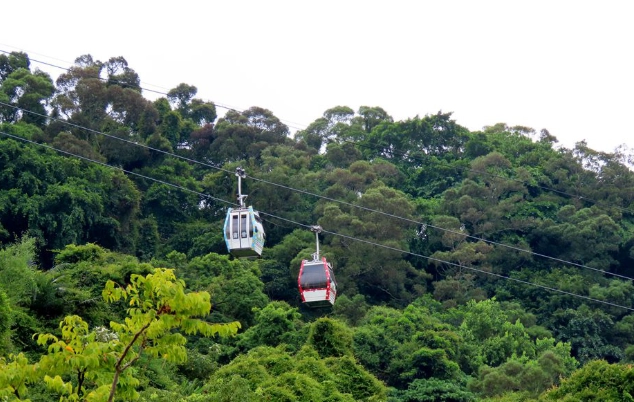 台北動物園攻略