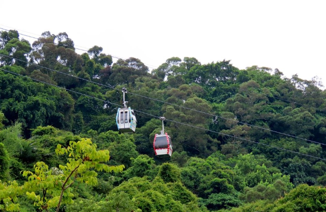 動物園纜車交通 動物園纜車交通