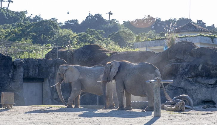 木柵動物園旅遊