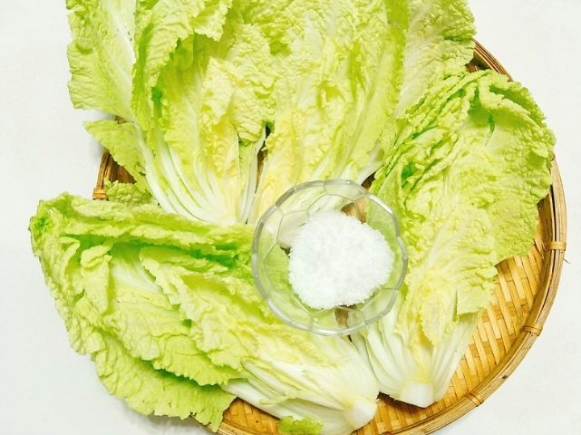 奶油萵苣種植方法