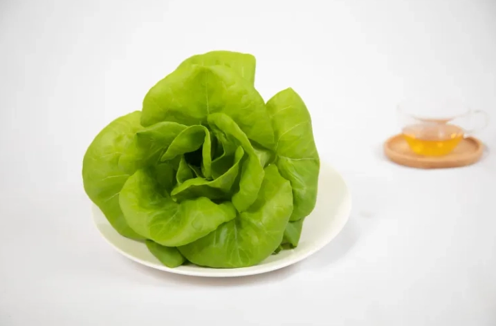 奶油萵苣營養
