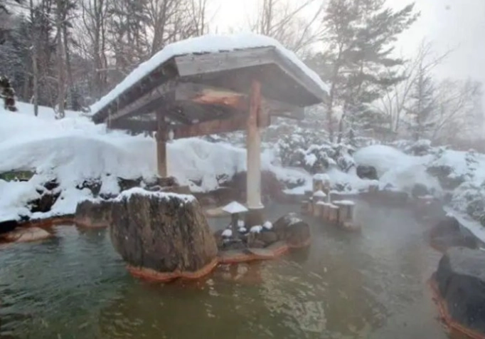 豐平峽溫泉交通全攻略：巴士、自驾、費用與行程規劃一次看懂