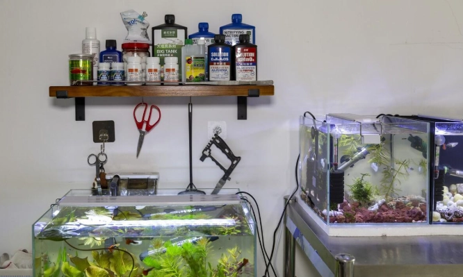 水族箱必備設備