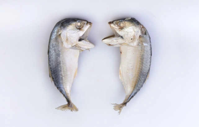 台北過敏友善美食