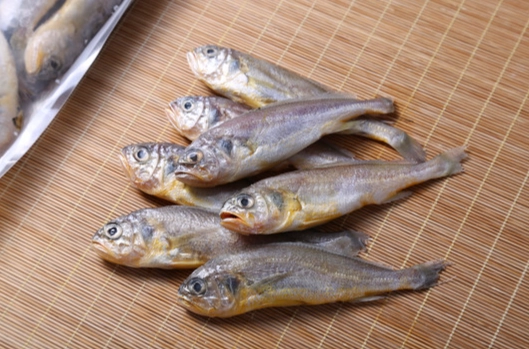 台北過敏友善美食