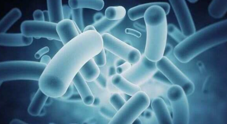 換水要加硝化菌嗎